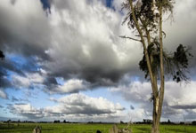 MK-赛艇超级杯上演强强对话，蓬莱貔貅队强势反弹嵩山灰熊队，团队配合流畅；回归即成焦点(2023年中国超级杯决赛直播回放)